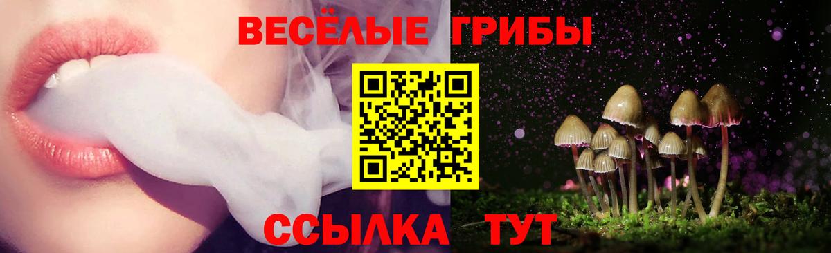 Галлюциногенные грибы Magic Shrooms  Вход с VPN  Псилоцибиновые грибы Psilocybine cubensis  Великий Новгород 